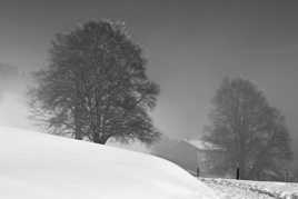 Neige et brouillard