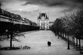 Balade amoureuse Paris