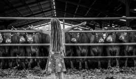 L'artiste et srs fans. 