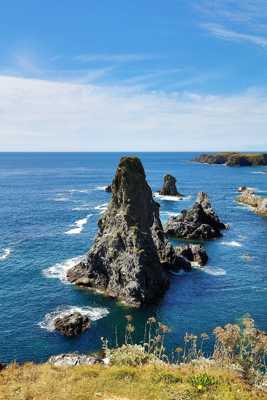 Les aiguilles de port coton sous un autre angle