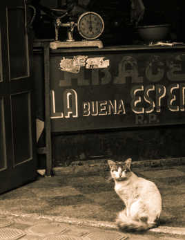 Bienvenue dans mon magasin