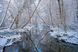 Un ruisseau en hiver