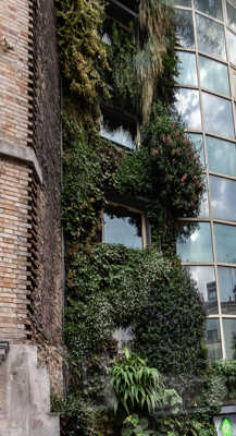 immeuble parisien végétalisé dans PARIS