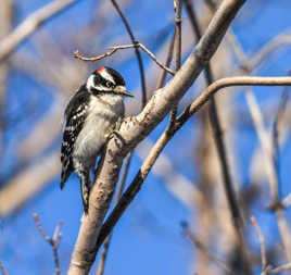 Mon plus beau profil