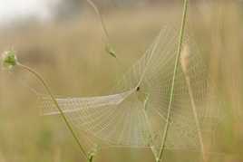 Protégeons cette si belle nature...