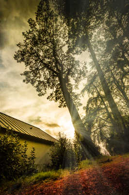 quand l'automne n'est pas au rendez vous