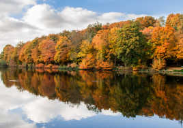 Reflets d'automne V2