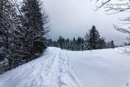 Ballade dans la neige