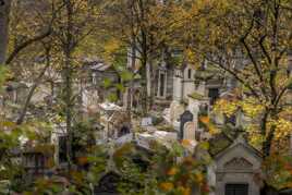 lumières de novembre