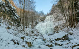 le hérisson en hiver