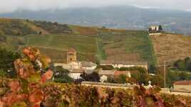 Salles Arbuissonnas en beaujolais