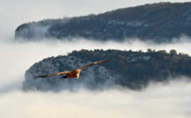 Au delà des falaises.