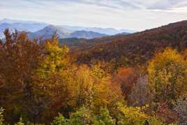 L'automne entre mer et Mercantour