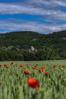 Et au fond un château