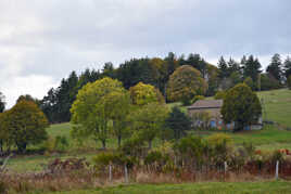 A la campagne... 10.26