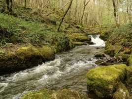 Cascade des fées