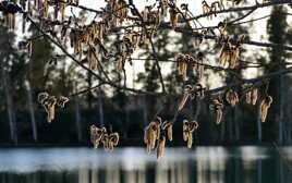 Bientôt le Printemps