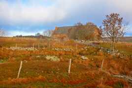 Couleurs d'hiver en Aubrac