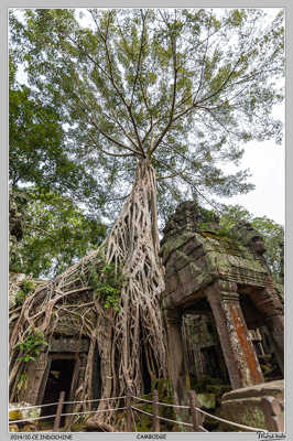 encore et toujours ANGKOR