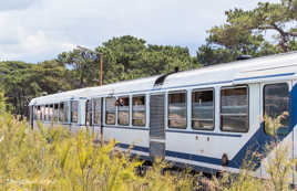 Paysage dans le cadre des portières