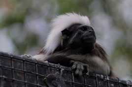 Surtout pas d'eau !!