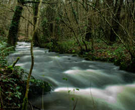 pause longue petite rib=vière