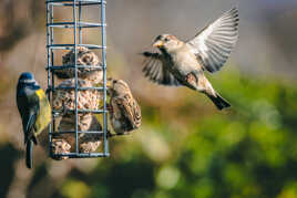S'il y en a pour 2 il y en a pour 3