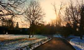 Un matin de février