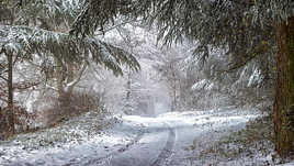 Chemin forestier sous la neige.