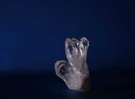 Le trésor dévoilé