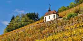 La chapelle de la vigne