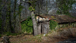 Ma cabane au Canada...