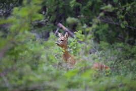 Ça valait vraiment le coup!