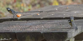 Je te laisse la place