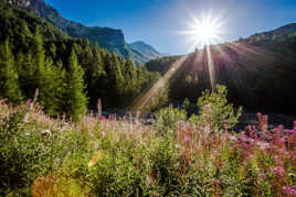 Soleil de montagne