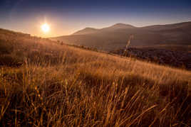 Soleil couchant sur le plan des noves