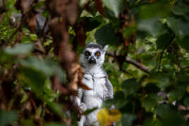 J'ai fait une bêtise ?