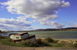 Au bord de l'étang....