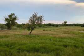 Pré humide de Lansargues