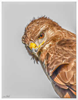 Tout est dans le regard