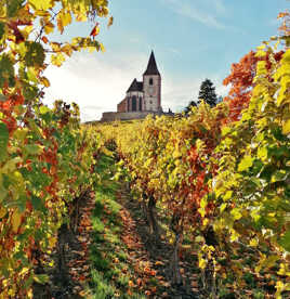 Automne flamboyant.