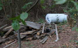 Tu seras la poubelle pour aller danser !