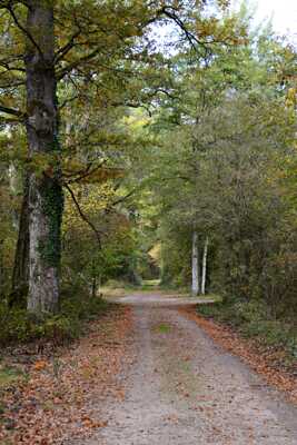 Presqu'à la croisée des chemins