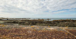 Omonvile la Rogue (4)