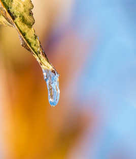 Goutte d'eau givrée