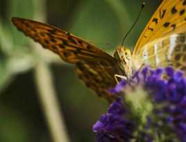 dans la série ... t'as d'beaux yeux