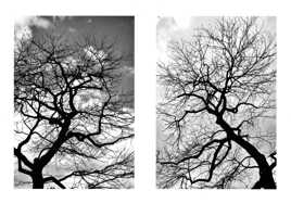 En attendant le printemps