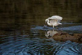 Je vais me régaler!
