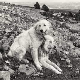 N&B réalisé par xabidoowah_En voilà d'autres !