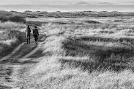 Ballade en pleine nature